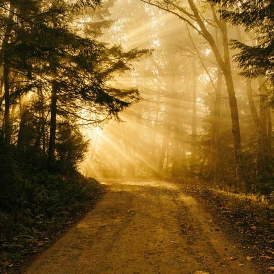 The Path to Conscience