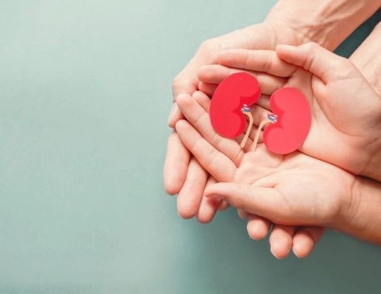 Kidneys for Strangers